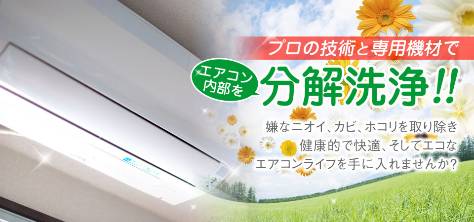 トップページ